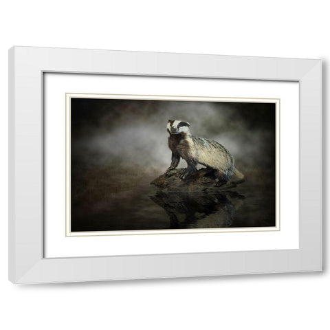 European Badger White Modern Wood Framed Art Print with Double Matting by Visser, Michiel