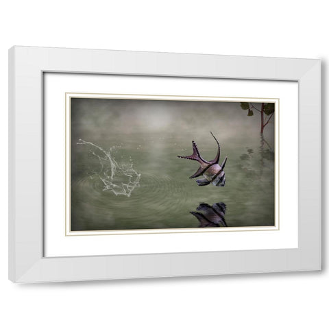 Banggai Cardinalfish White Modern Wood Framed Art Print with Double Matting by Visser, Michiel
