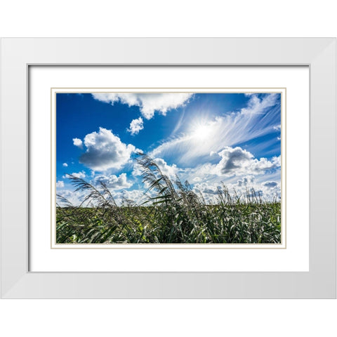 Cloud Painting White Modern Wood Framed Art Print with Double Matting by Lichtenwalter, Tom