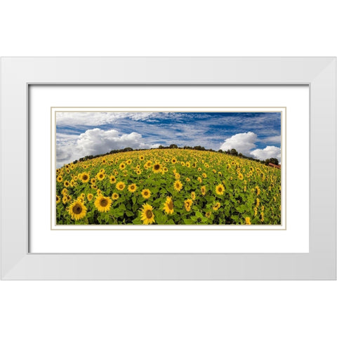 Sonnenblumenwelt White Modern Wood Framed Art Print with Double Matting by Fischer, Rolf