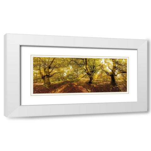Kellerwald White Modern Wood Framed Art Print with Double Matting by Fischer, Rolf