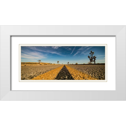 Joshua White Modern Wood Framed Art Print with Double Matting by Lichtenwalter, Tom