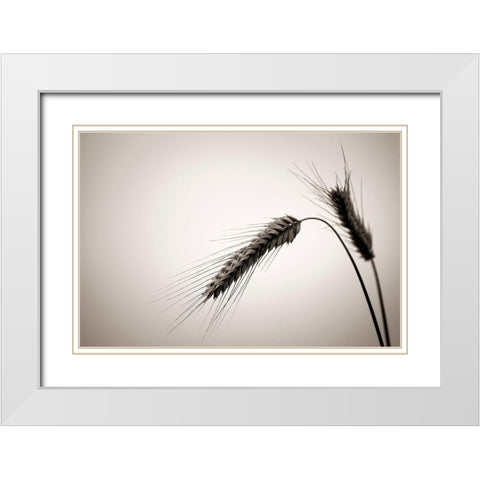 Sommertraum V White Modern Wood Framed Art Print with Double Matting by Steger, Uwe