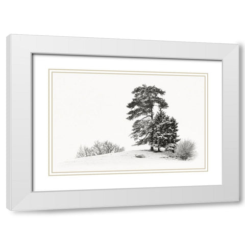 Solitar II White Modern Wood Framed Art Print with Double Matting by Steger, Uwe