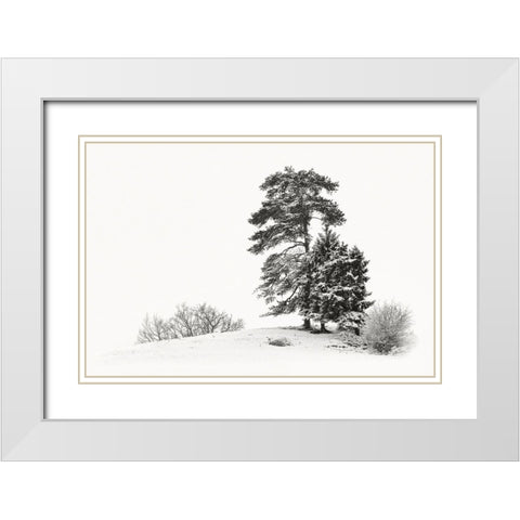 Solitar II White Modern Wood Framed Art Print with Double Matting by Steger, Uwe