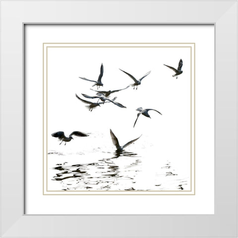 Black and White White Modern Wood Framed Art Print with Double Matting by Steger, Uwe