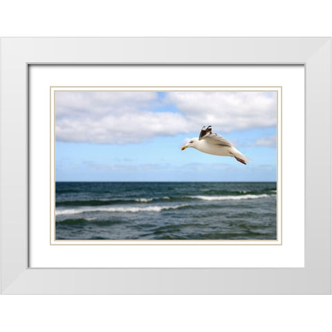 Lonely Bird White Modern Wood Framed Art Print with Double Matting by Steger, Uwe