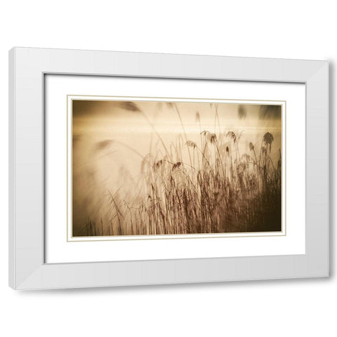 Traumzeit I White Modern Wood Framed Art Print with Double Matting by Steger, Uwe