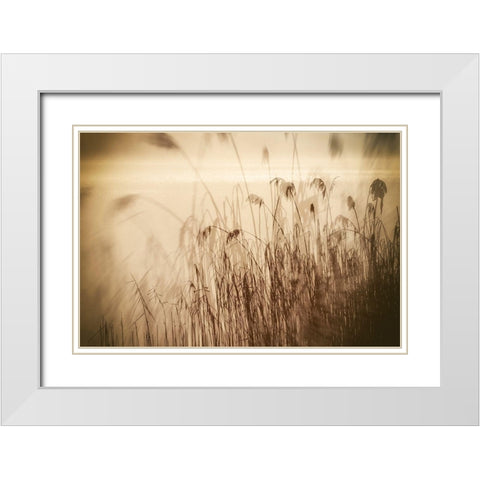 Traumzeit I White Modern Wood Framed Art Print with Double Matting by Steger, Uwe