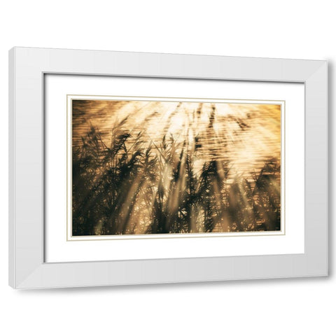 Traumzeit II White Modern Wood Framed Art Print with Double Matting by Steger, Uwe