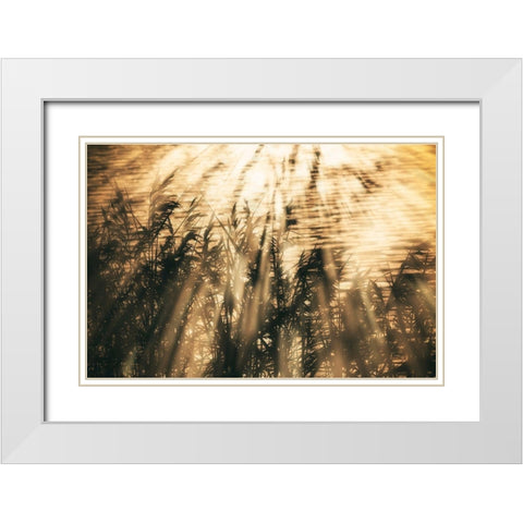 Traumzeit II White Modern Wood Framed Art Print with Double Matting by Steger, Uwe
