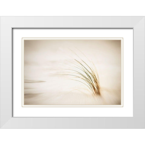 Sandsturm Part I White Modern Wood Framed Art Print with Double Matting by Steger, Uwe