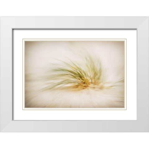 Sandsturm Part II White Modern Wood Framed Art Print with Double Matting by Steger, Uwe