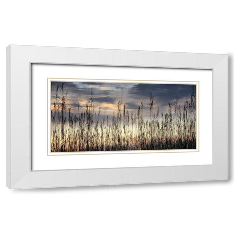 Reed Part II White Modern Wood Framed Art Print with Double Matting by Steger, Uwe