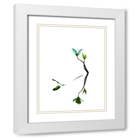 Softly Dream Part I White Modern Wood Framed Art Print with Double Matting by Steger, Uwe