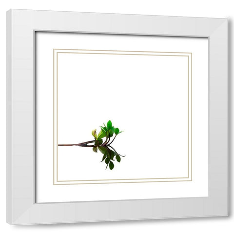 Softly Dream Part II White Modern Wood Framed Art Print with Double Matting by Steger, Uwe