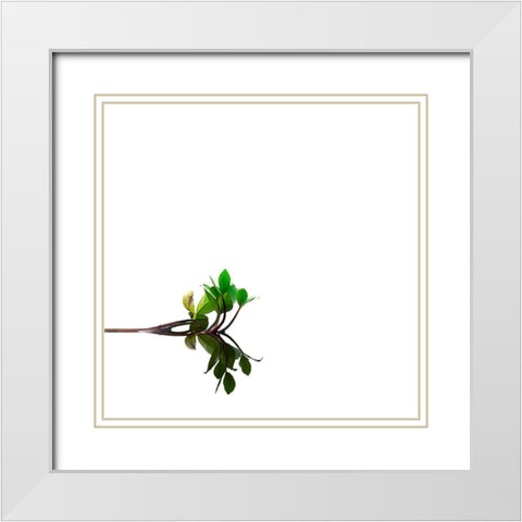 Softly Dream Part II White Modern Wood Framed Art Print with Double Matting by Steger, Uwe