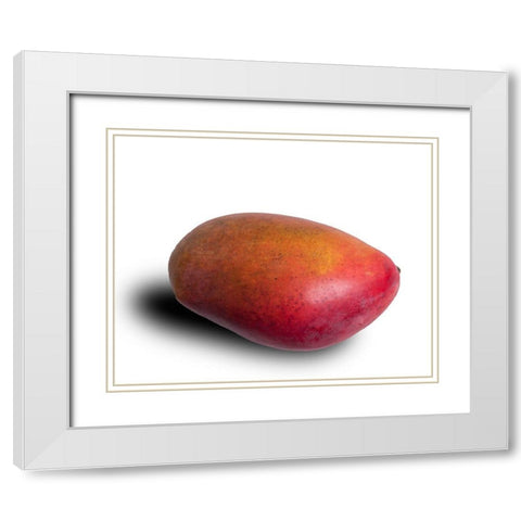Mango White Modern Wood Framed Art Print with Double Matting by Brosius, Volker