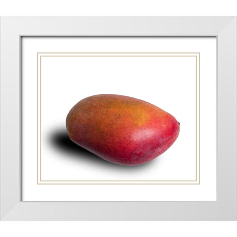Mango White Modern Wood Framed Art Print with Double Matting by Brosius, Volker