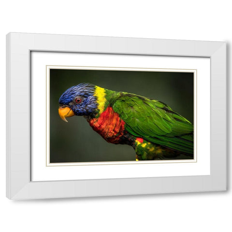 Green Bird White Modern Wood Framed Art Print with Double Matting by Ronin