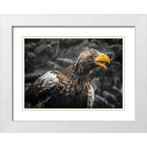 Stellar Eagle White Modern Wood Framed Art Print with Double Matting by Ronin