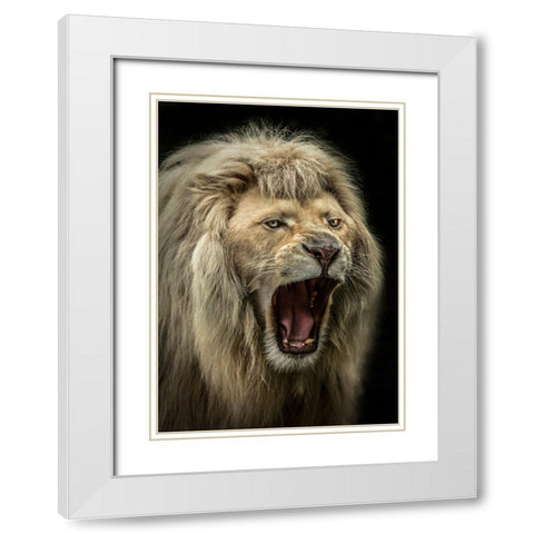 The Lion Roars White Modern Wood Framed Art Print with Double Matting by Ronin
