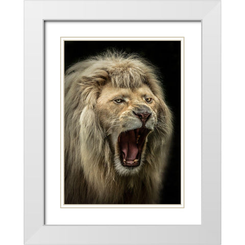 The Lion Roars White Modern Wood Framed Art Print with Double Matting by Ronin