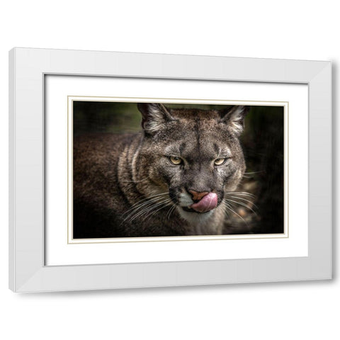 The Puma White Modern Wood Framed Art Print with Double Matting by Ronin