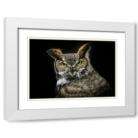 Wisdom Owl White Modern Wood Framed Art Print with Double Matting by Ronin