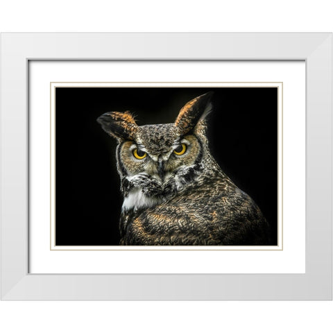 Wisdom Owl White Modern Wood Framed Art Print with Double Matting by Ronin