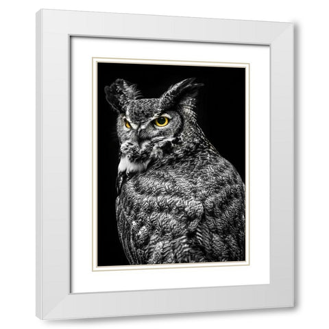 Wisdom Owl II White Modern Wood Framed Art Print with Double Matting by Ronin