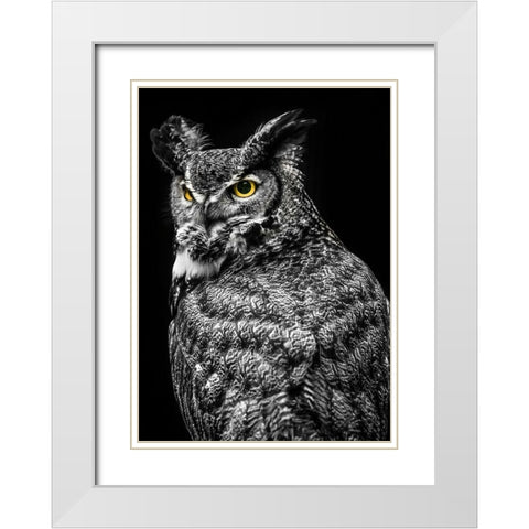 Wisdom Owl II White Modern Wood Framed Art Print with Double Matting by Ronin