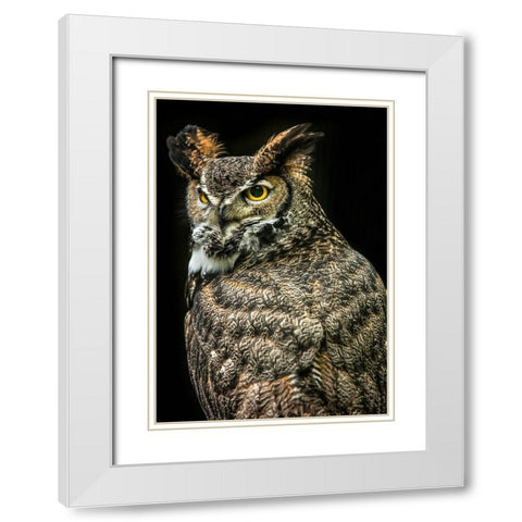 Wisdom Owl III White Modern Wood Framed Art Print with Double Matting by Ronin
