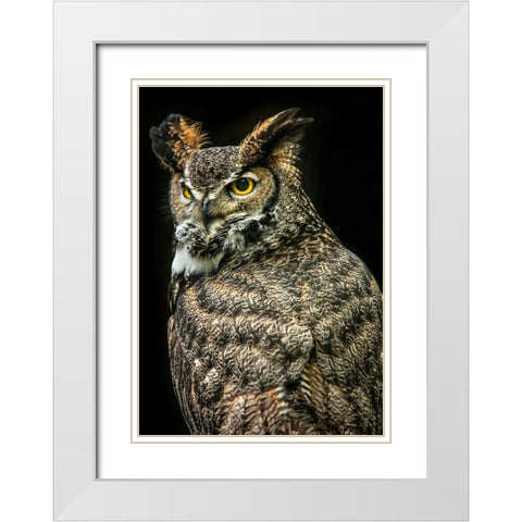 Wisdom Owl III White Modern Wood Framed Art Print with Double Matting by Ronin