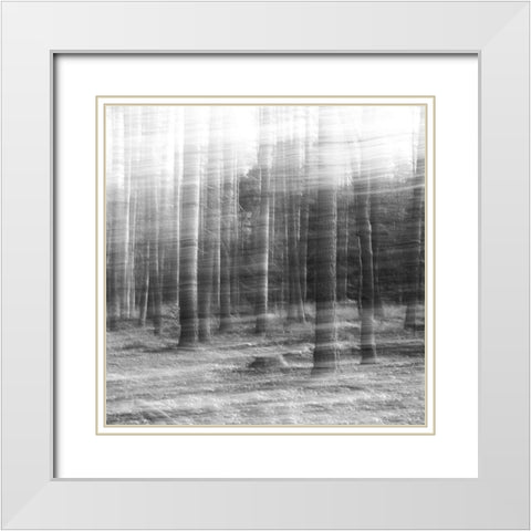 Day Break White Modern Wood Framed Art Print with Double Matting by Stein, Oliver