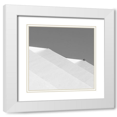 Three Doves White Modern Wood Framed Art Print with Double Matting by Stein, Oliver