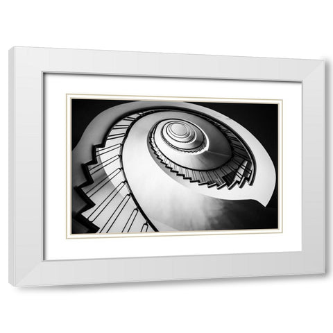 Parrot Staircase White Modern Wood Framed Art Print with Double Matting by Ronin