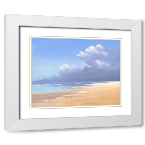Birds on the Beach White Modern Wood Framed Art Print with Double Matting by Groenhart, Jan