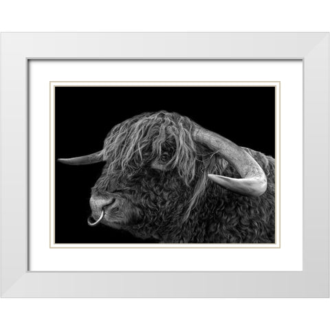 Galloway Bulle White Modern Wood Framed Art Print with Double Matting by Fischer, Rolf