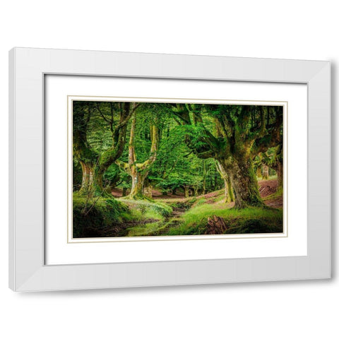 Otzarreta Forest II White Modern Wood Framed Art Print with Double Matting by Ronin