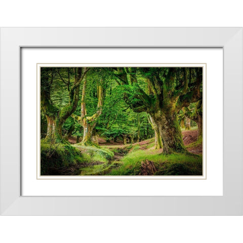 Otzarreta Forest II White Modern Wood Framed Art Print with Double Matting by Ronin