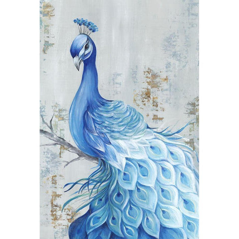 Peacock Paradise Black Modern Wood Framed Art Print by Watts, Eva