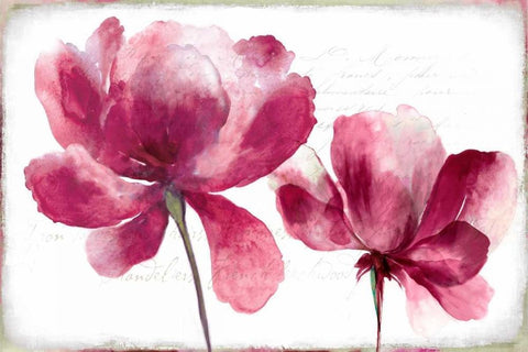 Lilya II White Modern Wood Framed Art Print with Double Matting by Jensen, Asia