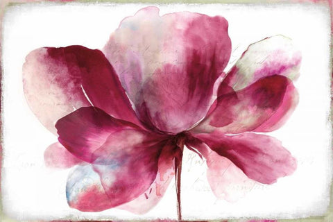 Lilya Red White Modern Wood Framed Art Print with Double Matting by Jensen, Asia