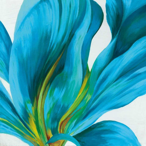 Vedette I Black Modern Wood Framed Art Print by Jensen, Asia