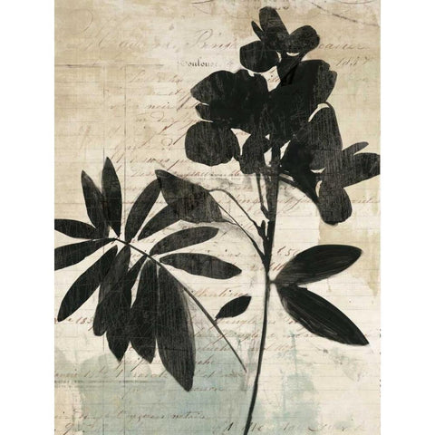 Inky Floral II Black Modern Wood Framed Art Print by Jensen, Asia