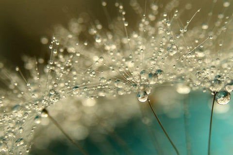 Smoky Blue Black Ornate Wood Framed Art Print with Double Matting by Johnstone, Sharon