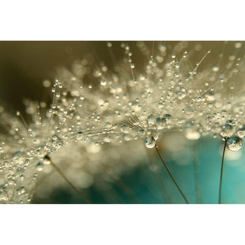 Smoky Blue White Modern Wood Framed Art Print by Johnstone, Sharon