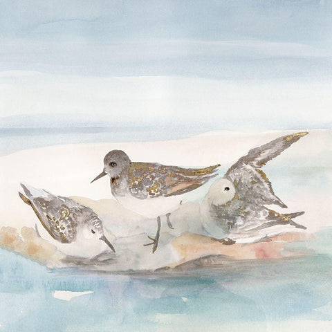 Beachside Birds IV White Modern Wood Framed Art Print by Stellar Design Studio