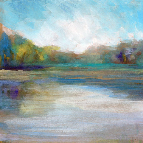 Mid Day Pond I Black Modern Wood Framed Art Print by Stellar Design Studio